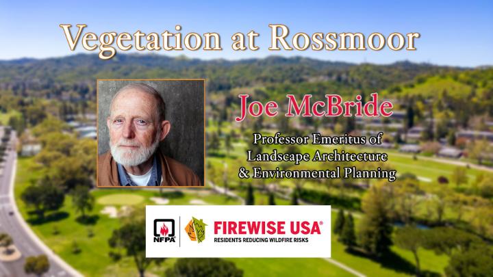 Thumbnail image for Vegetation at Rossmoor